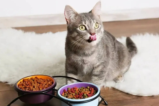 猫咪能吃土豆吗