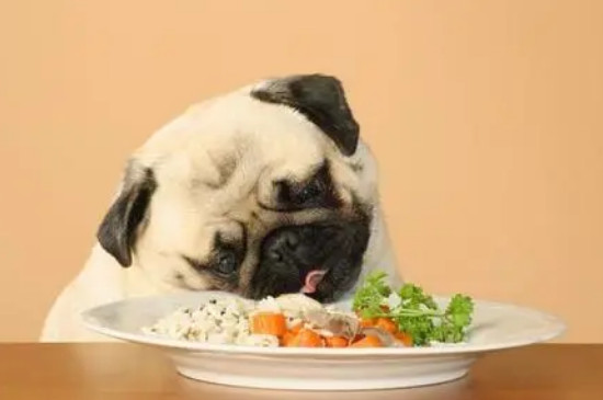 狗狗能吃海苔吗