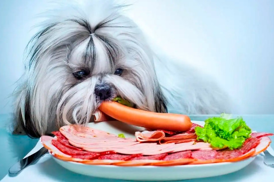狗狗可以吃清水煮牛肉吗